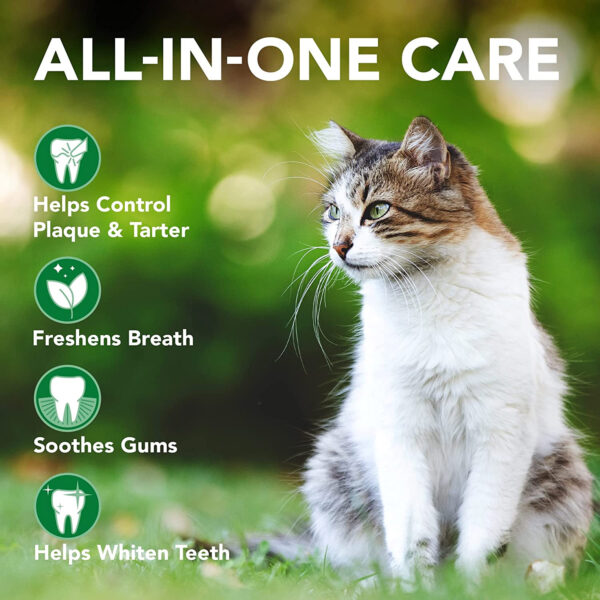 VET'S BEST Advanced Dental Powder for Cats (45gr)