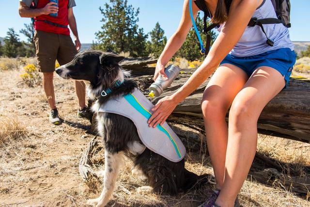 RUFFWEAR Swamp Dog Cooling Vest (Grey)