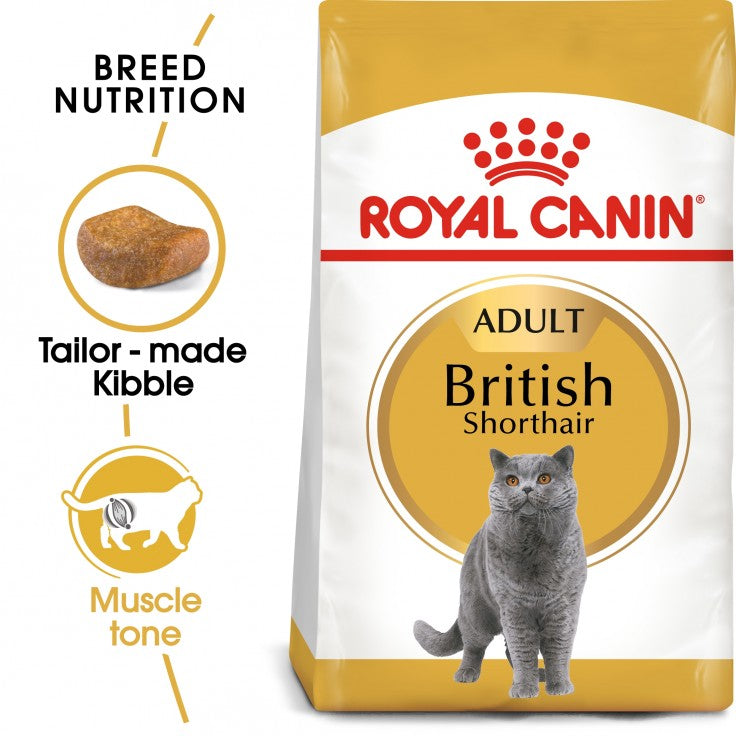 ROYAL CANIN Adult British Shorthair (4kgs)