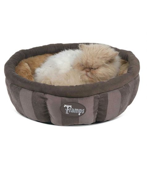 SCRUFFS AristoCat Tramps Ring Bed
