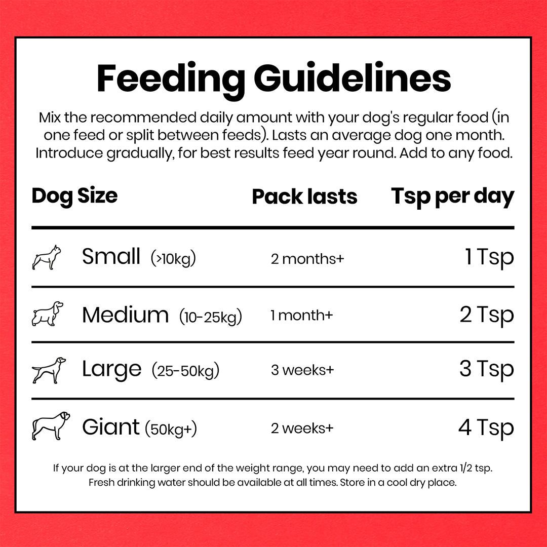 POOCH & MUTT Bionic Biotic Dog Supplement (200 gr)