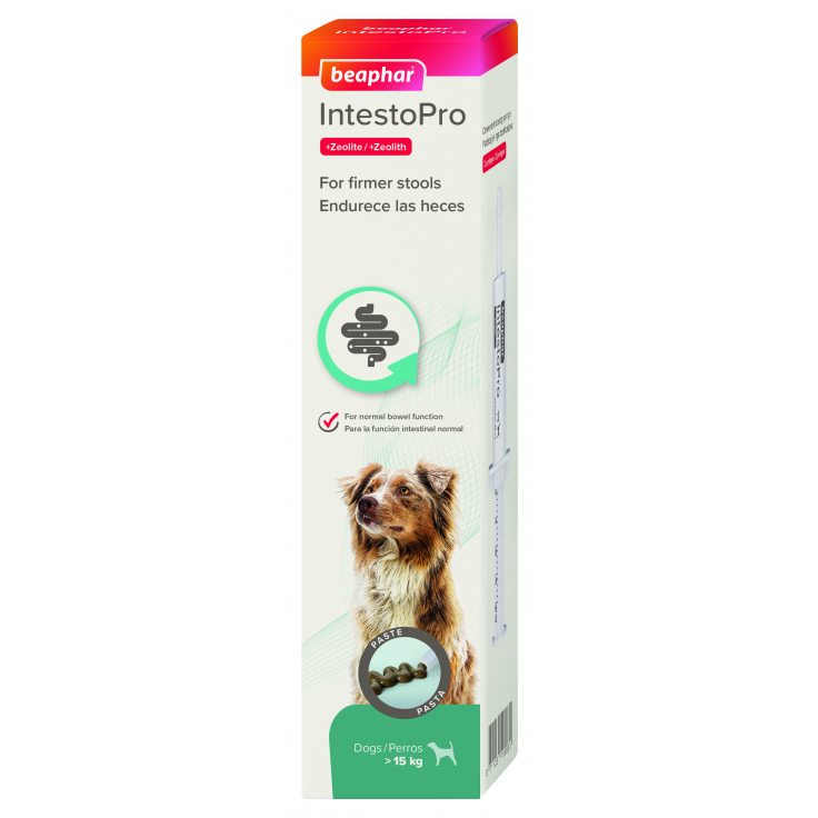 BEAPHAR Intestopro Paste Large Dog (2x20ml)
