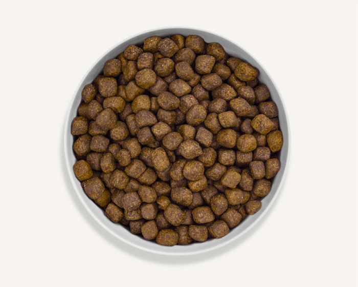 CANAGAN Dog Free Run Turkey Small Breed (2kgs)