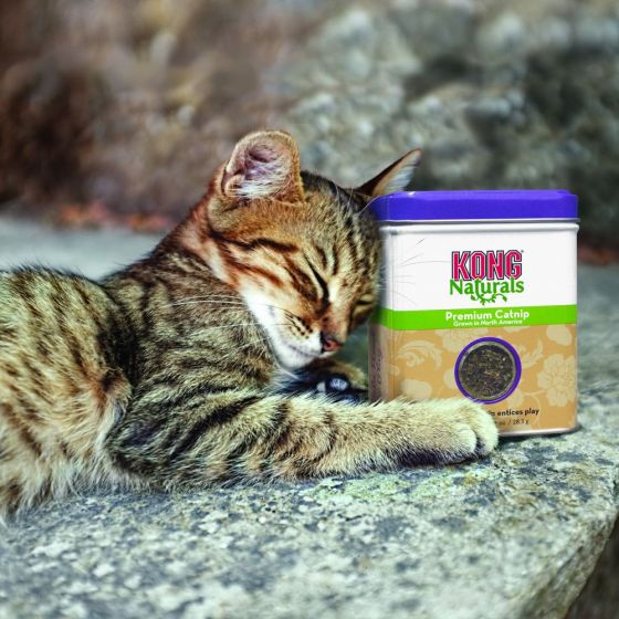 KONG Cat Premium Catnip