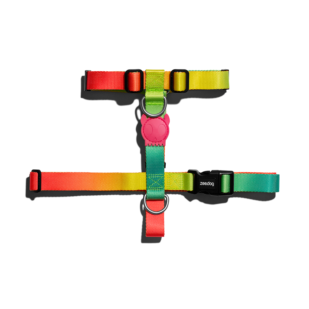 ZEE.DOG Citrus H-Harness