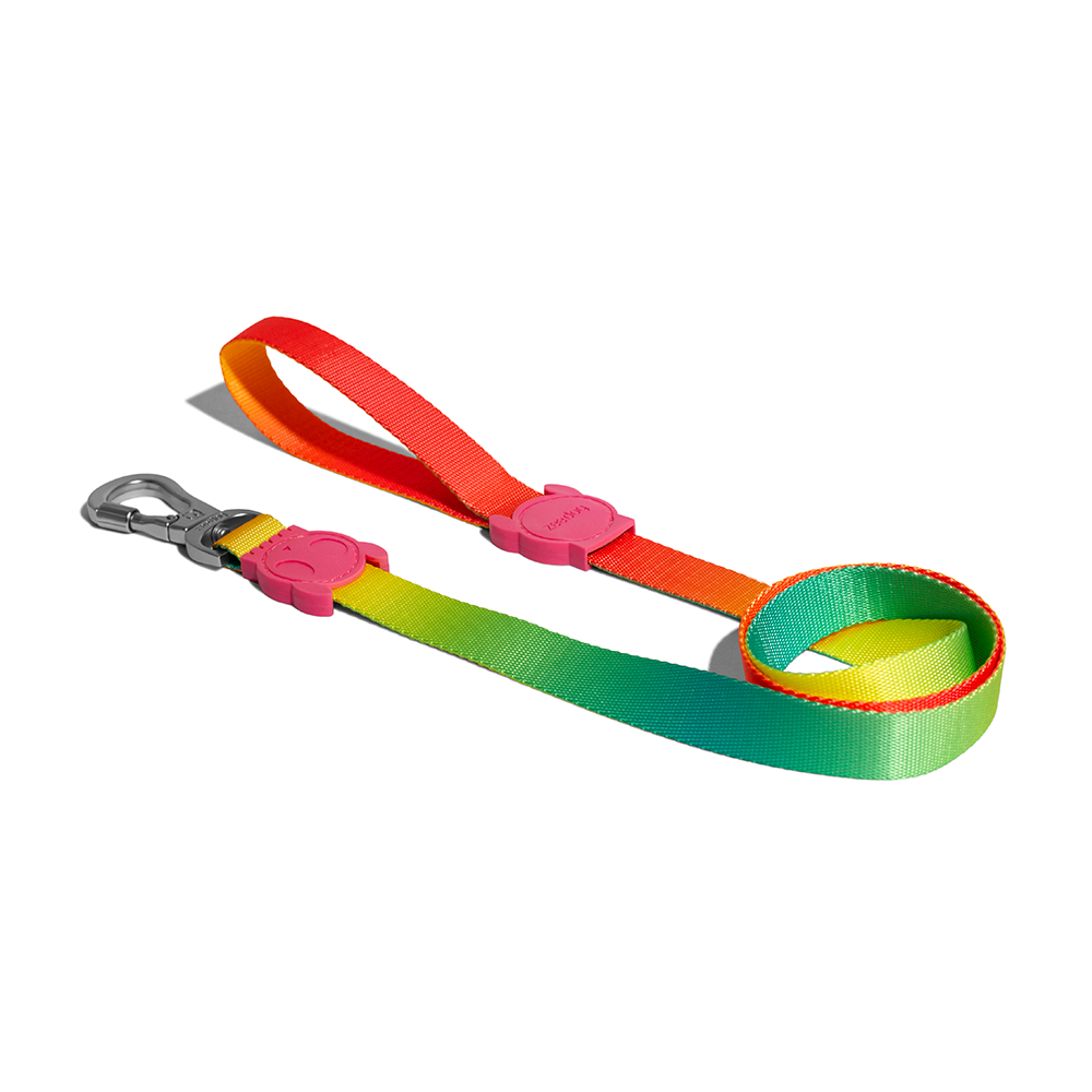 ZEE.DOG Citrus Leash