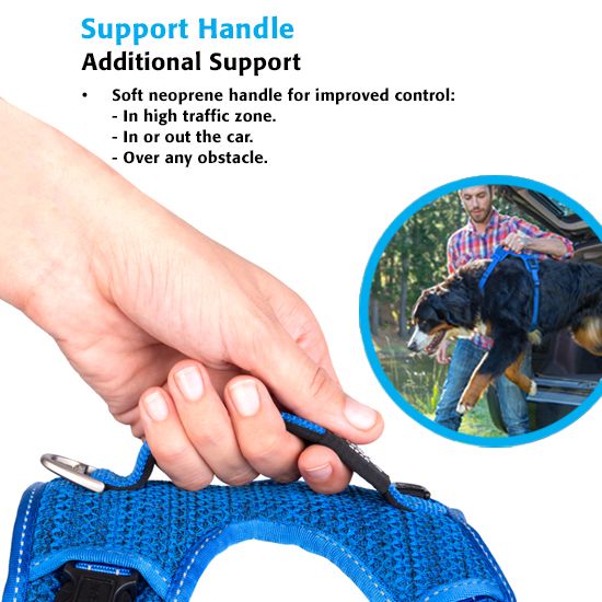 ROGZ Explore Harness (Multiple Colors)