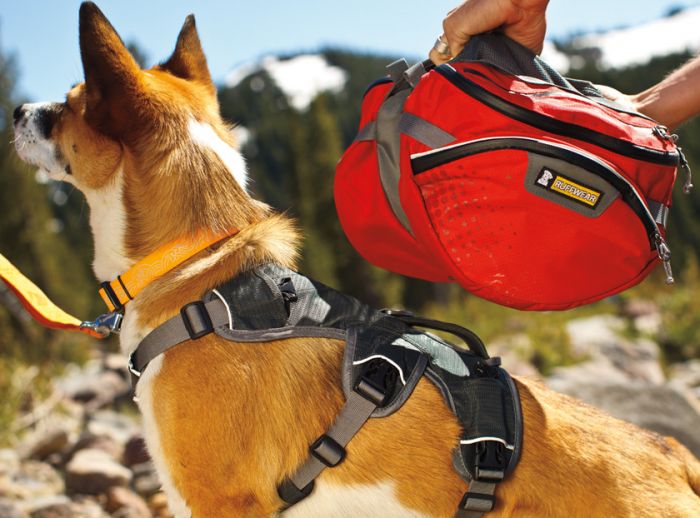 RUFFWEAR Palisades Pack