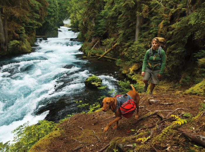 RUFFWEAR Palisades Pack