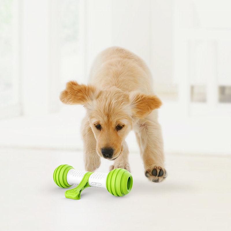 PETGEEK Electronic Automatic Playbone
