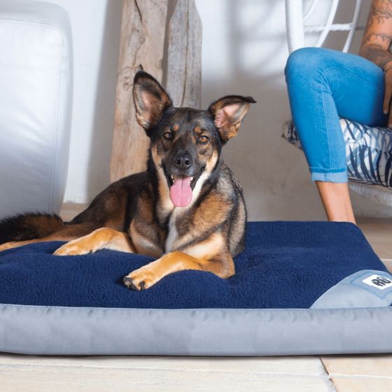 ROGZ Lekka Flat Bed