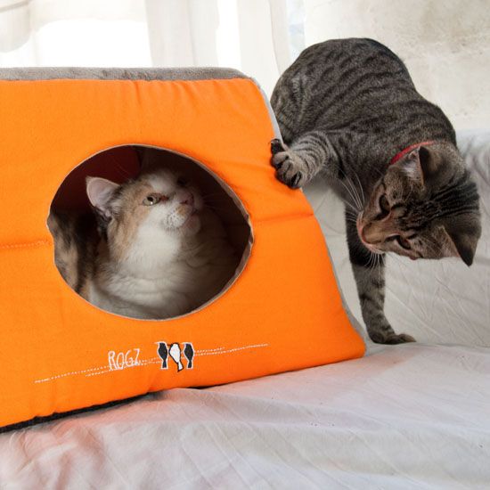 ROGZ Catz Bed Igloo Birds on Wire