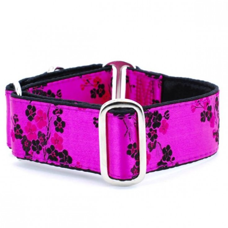 2 HOUNDS DESIGN Sighthound Collar (Various Colors)