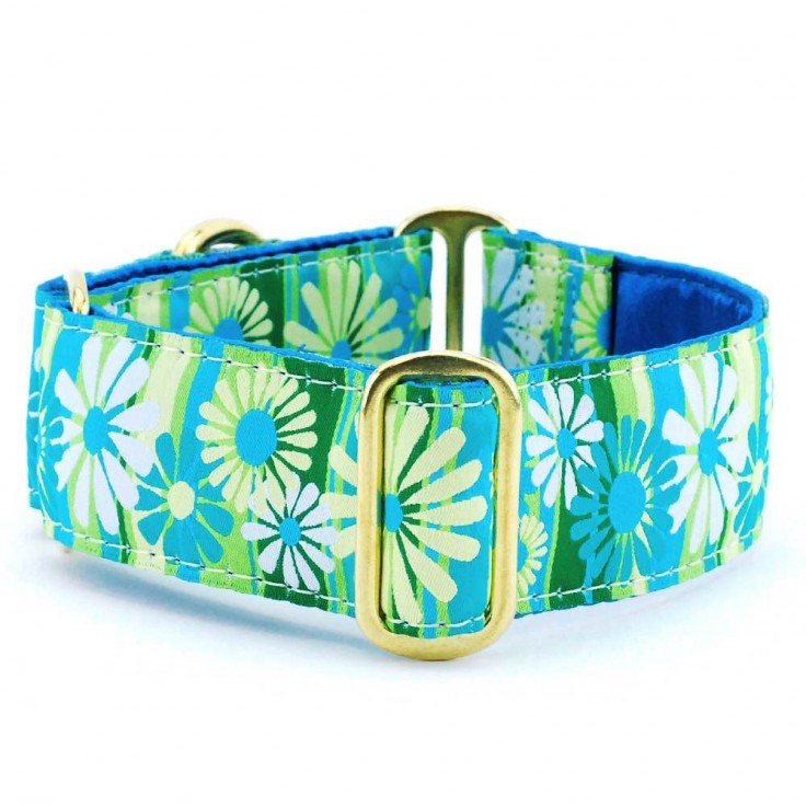 2 HOUNDS DESIGN Sighthound Collar (Various Colors)