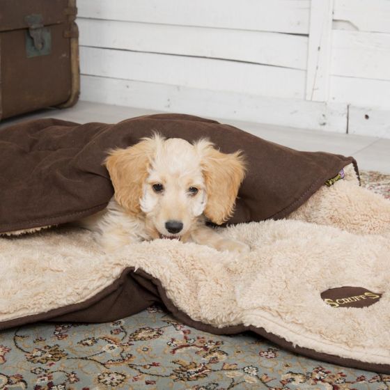 SCRUFFS Snuggle Dog Blanket