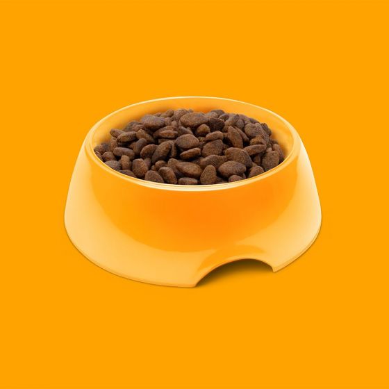 SYMPLY Dry Dog Food Adult Fresh Chicken All Breeds