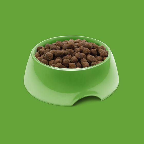 SYMPLY Dry Dog Food Adult Fresh Lamb All Breeds