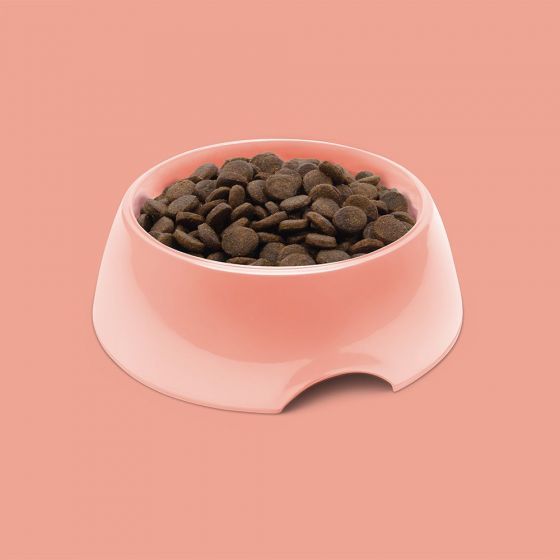 SYMPLY Dry Dog Food Adult Fresh Salmon All Breeds