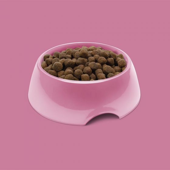 SYMPLY Dry Dog Food Adult Fresh Turkey All Breeds