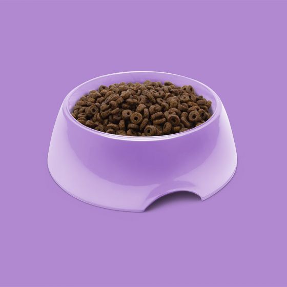 SYMPLY Dry Dog Food Adult Fresh Turkey Small Breeds (2kgs)