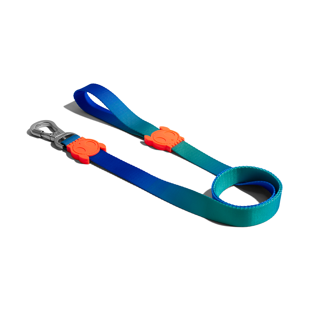 ZEE.DOG Tide Leash
