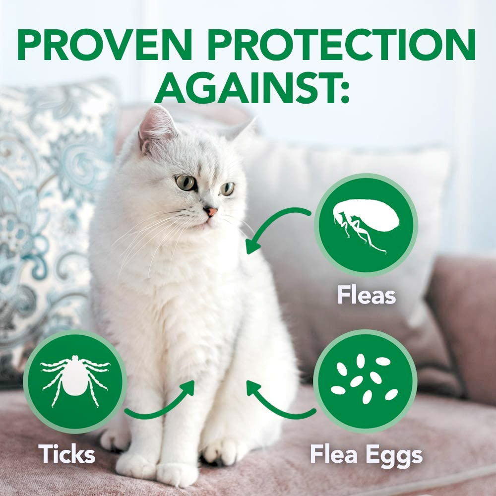 VET'S BEST Flea and Tick Waterless Bath Foam for Cats 145ml