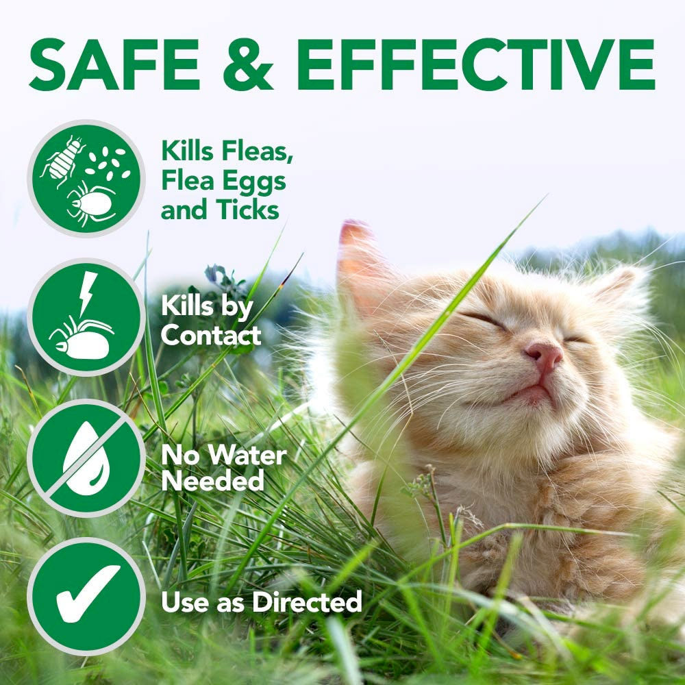 VET'S BEST Flea and Tick Waterless Bath Foam for Cats 145ml