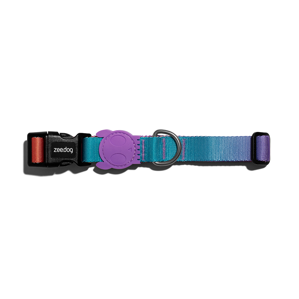 ZEE.DOG Wave Collar (L)