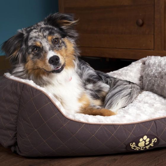 SCRUFFS Wilton Box Dog Bed
