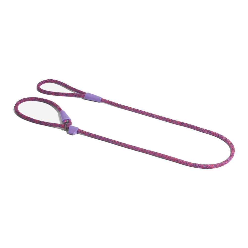 ZEE.DOG Cosmo Slip On Leash