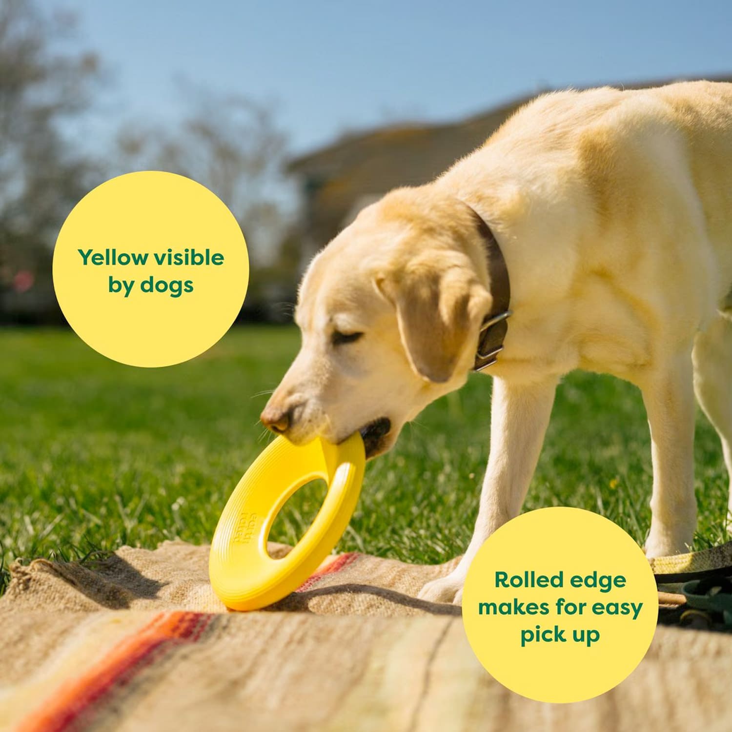 EARTH RATED Dog Fly Toy