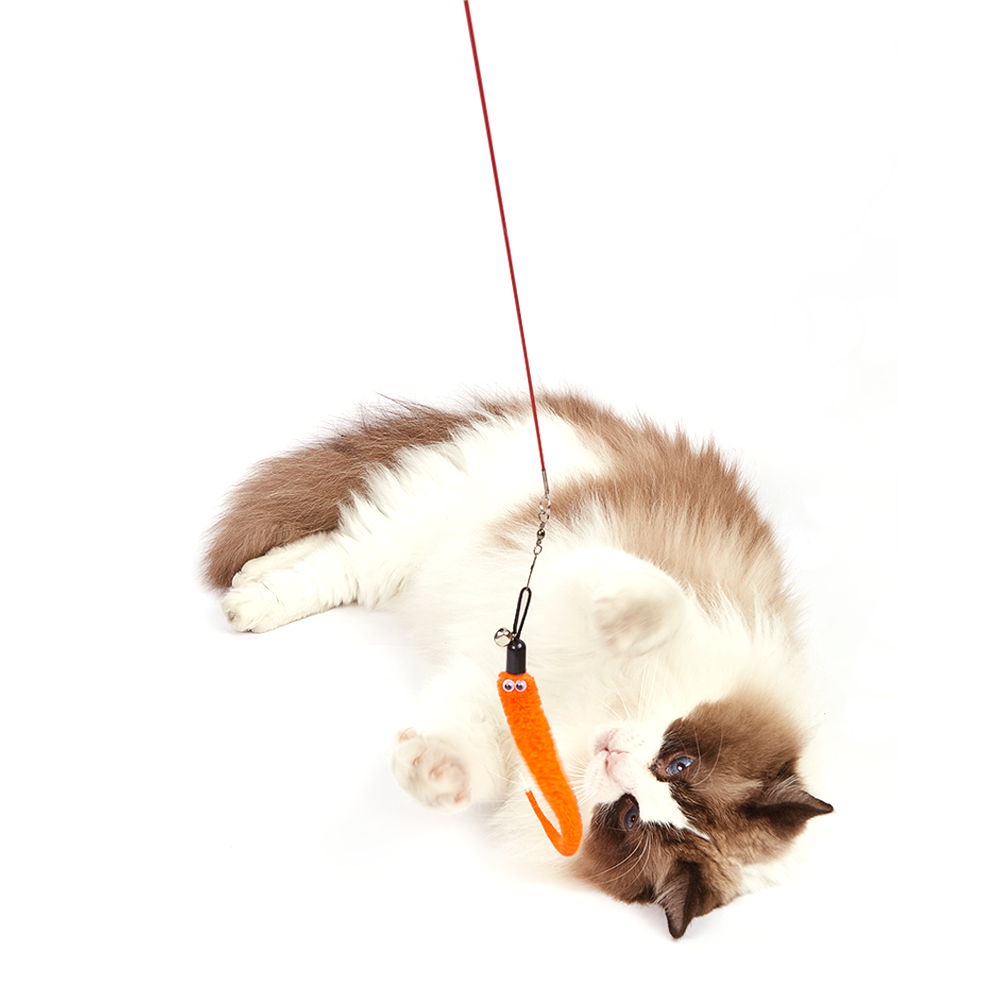 FOFOS Cat Wand (Various Designs)