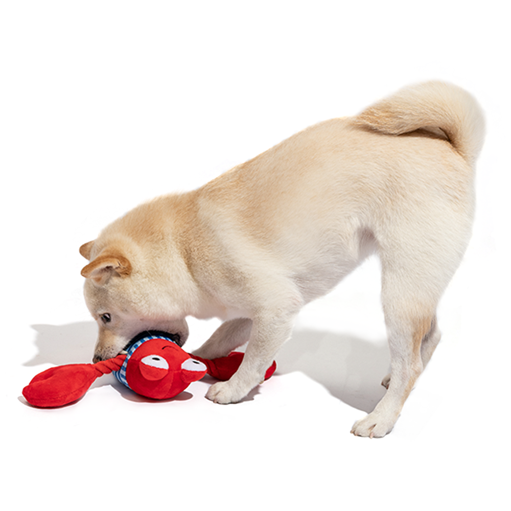 FOFOS Sealife Lobster Dog Toy