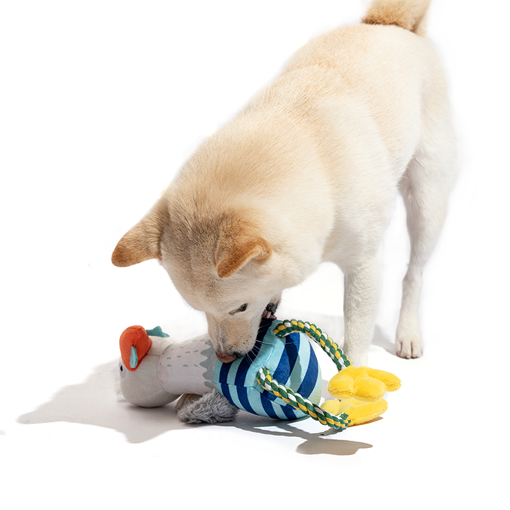 FOFOS Sealife Sea Mew Dog Toy