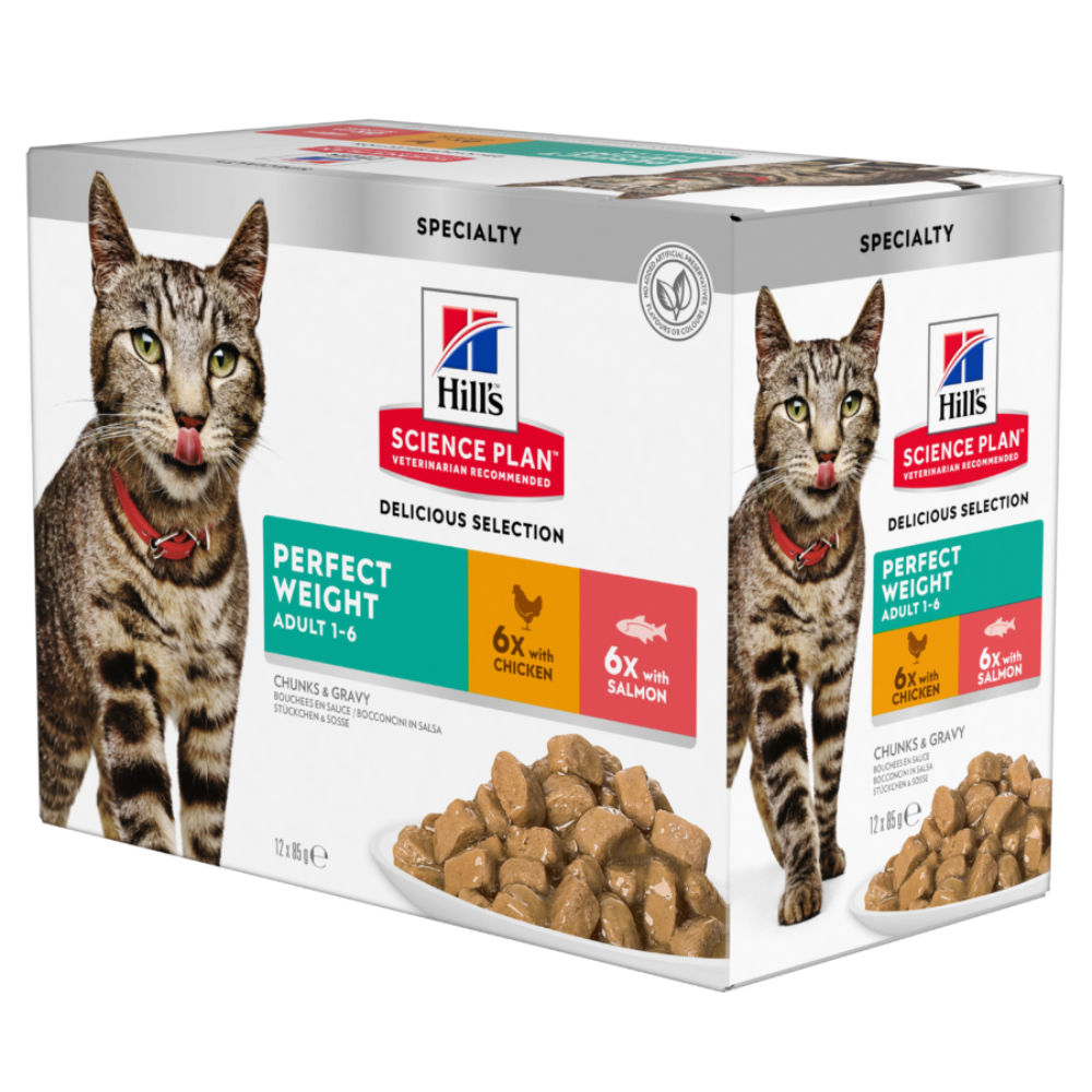 HILL'S Science Plan Perfect Weight Adult Cat Wet Food Chicken & Salmon In Gravy (12x85gr Pouches)