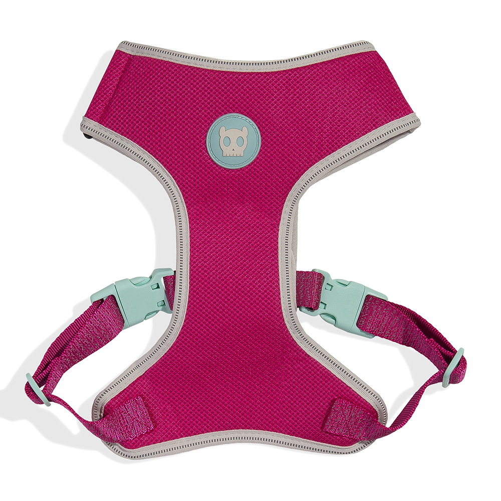 ZEE.DOG Nox Sidus Air Mesh Reflective Harness