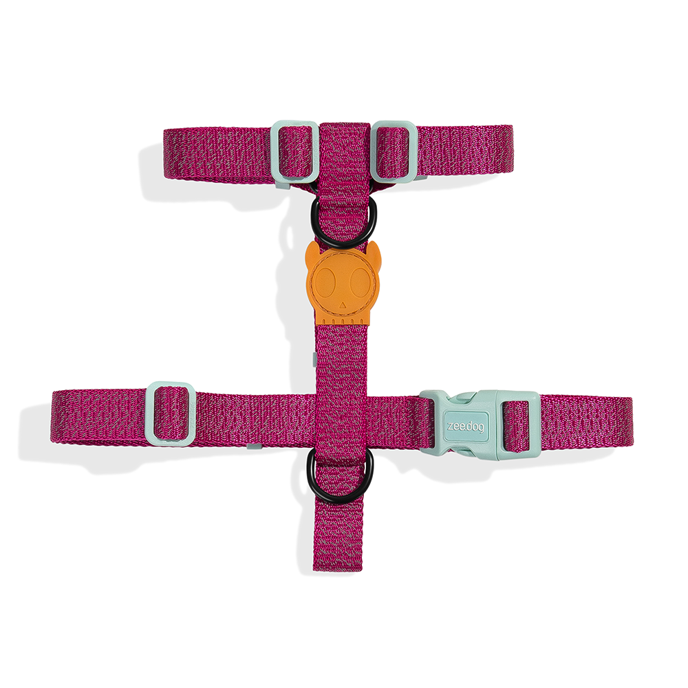 ZEE.DOG Nox Sidus Reflective H-Harness