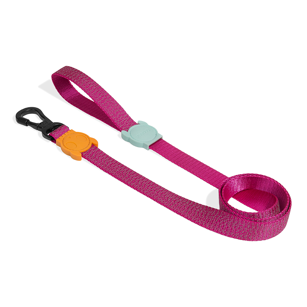 ZEE.DOG Nox Sidus Reflective Leash