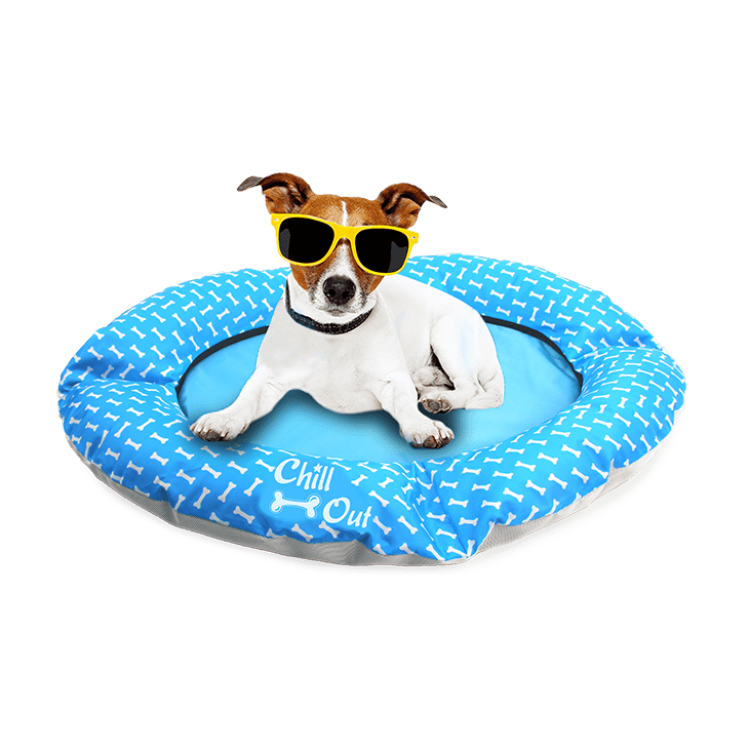 ALL FOR PAWS Chill Out Always Cool Dog Mat