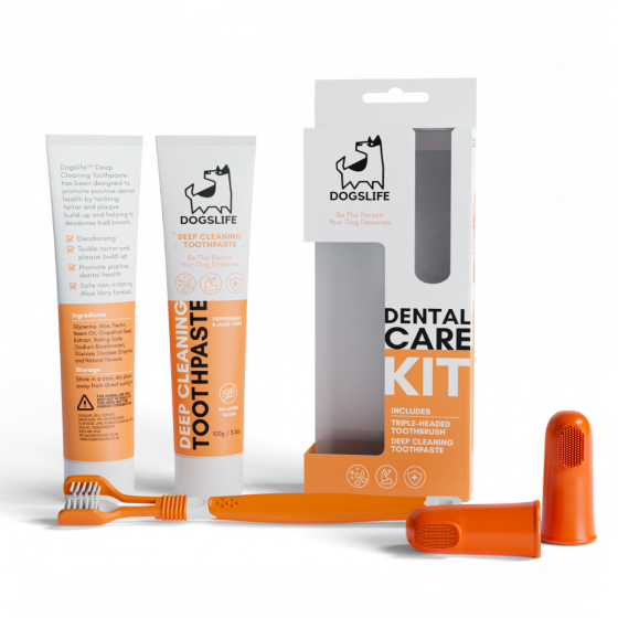 DOGSLIFE Dental Care Kit For Dogs