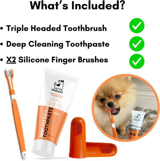 DOGSLIFE Dental Care Kit For Dogs