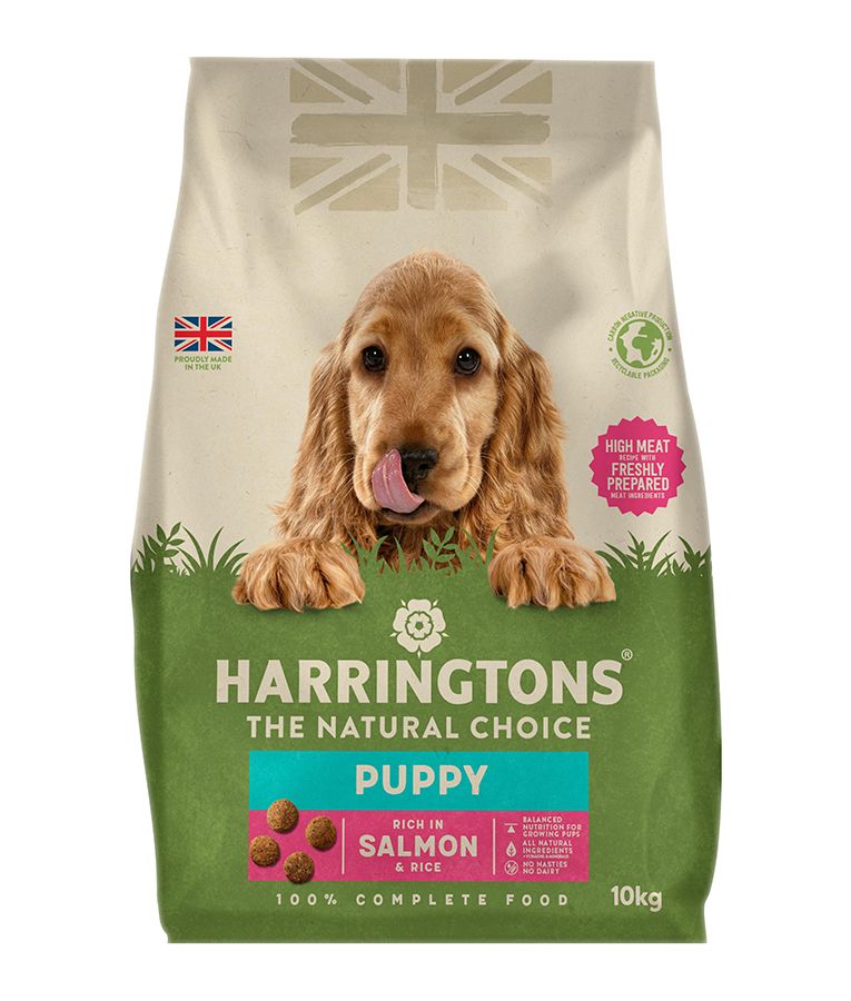 HARRINGTONS Complete Puppy Dry food Salmon & Rice (10 kgs)