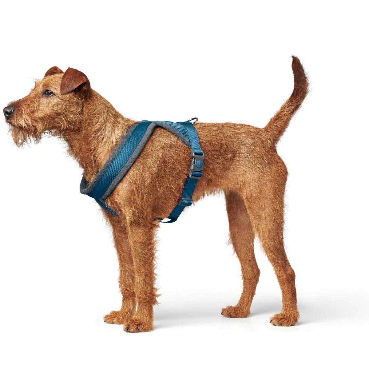 HUNTER London Dog Harness