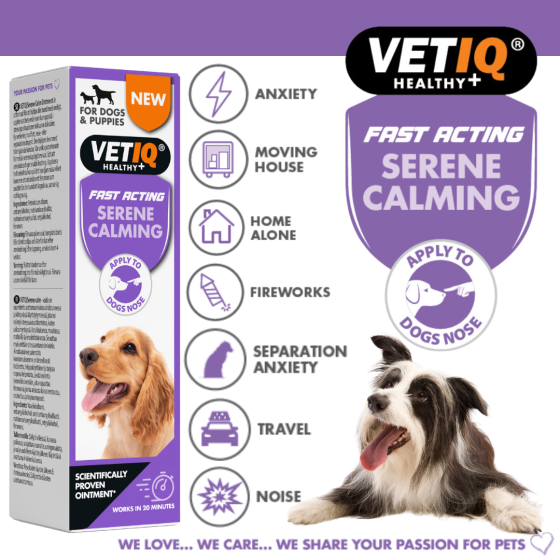 VETIQ Serene Calming Ointment For Dogs(50gr)