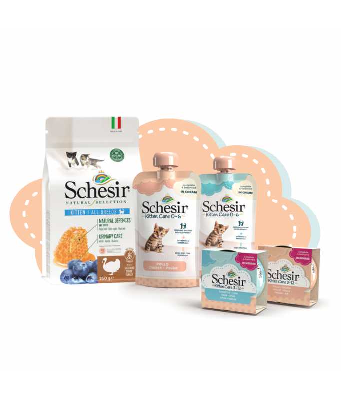 SCHESIR Kitten Care Wet & Dry Food Kit