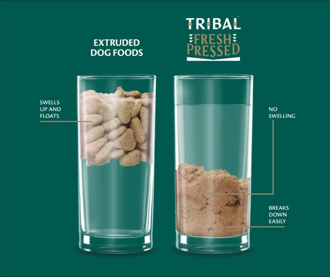 TRIBAL Fresh Pressed Complete Cold Pressed Adult Dry Dog Food With Turkey