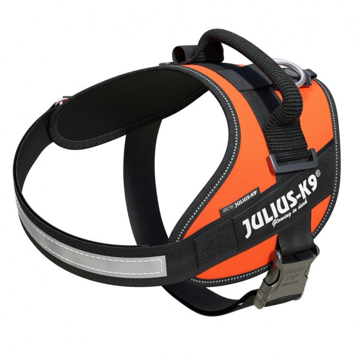 JULIUS-K9 High Visibility Powerharness (UV Orange)