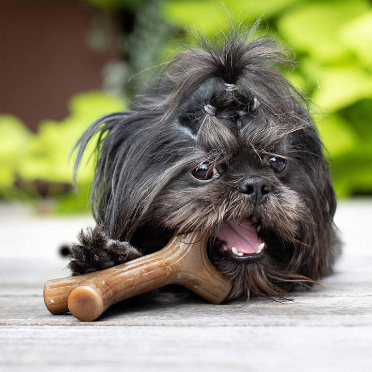 BENEBONE Stick Dog Chew Toy (Bacon)