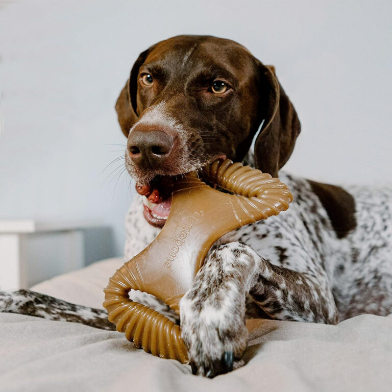 BENEBONE Dental Dog Chew Toy (Chicken)