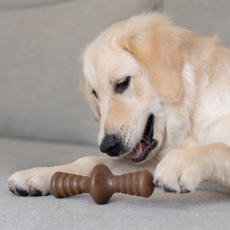 BENEBONE Zaggler Dog Chew Toy (Peanut)